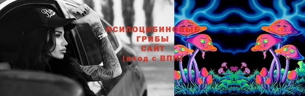 дмт Нефтекумск