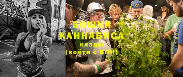 спиды Новодвинск