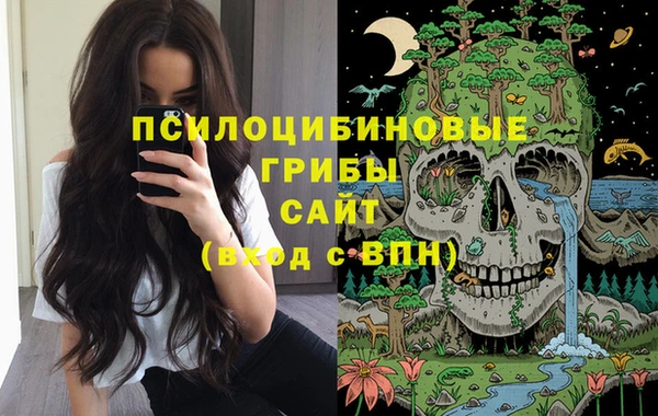 спиды Новодвинск