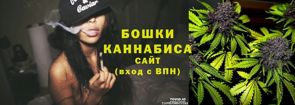 спиды Новодвинск