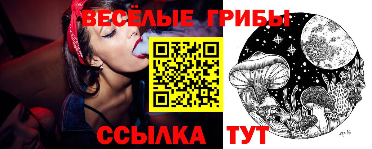 Псилоцибиновые грибы Psilocybe  Вход с VPN  Краснокамск 